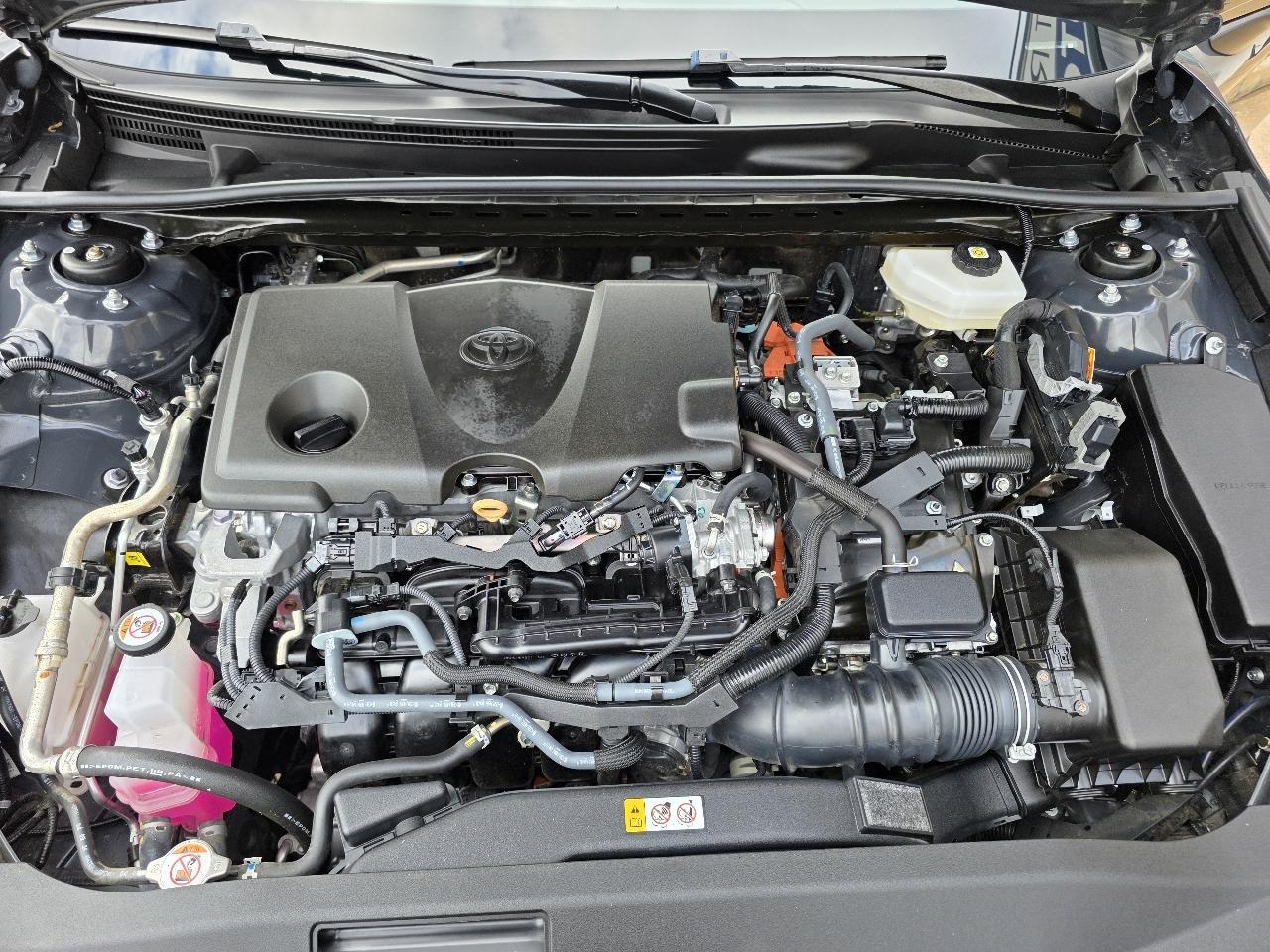 Toyota Camry XLE (Natl) 2025