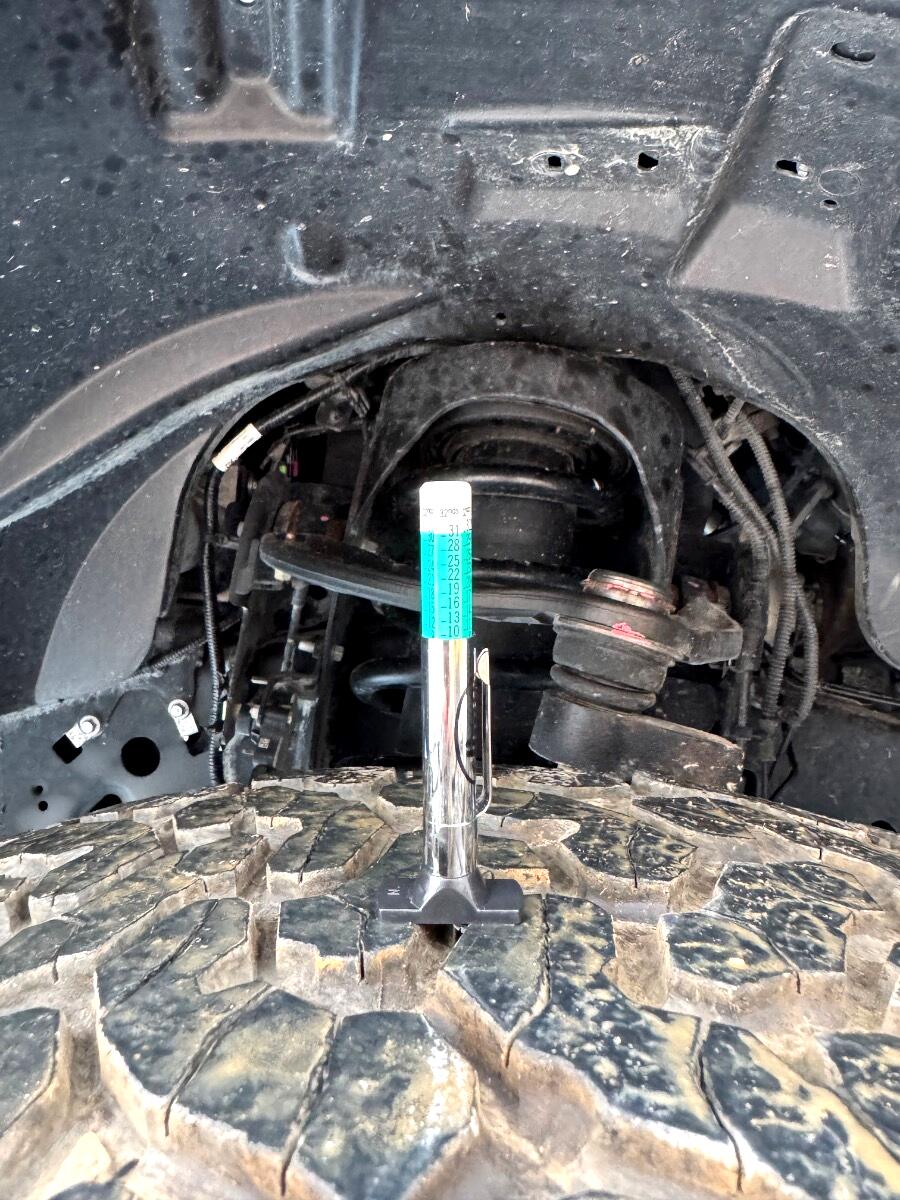 Ford F-150 Raptor 4WD SuperCrew 5.5' Box 2019