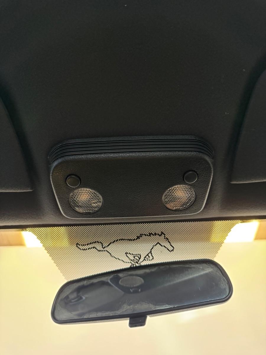 Ford Mustang 2dr Cpe Premium 2007