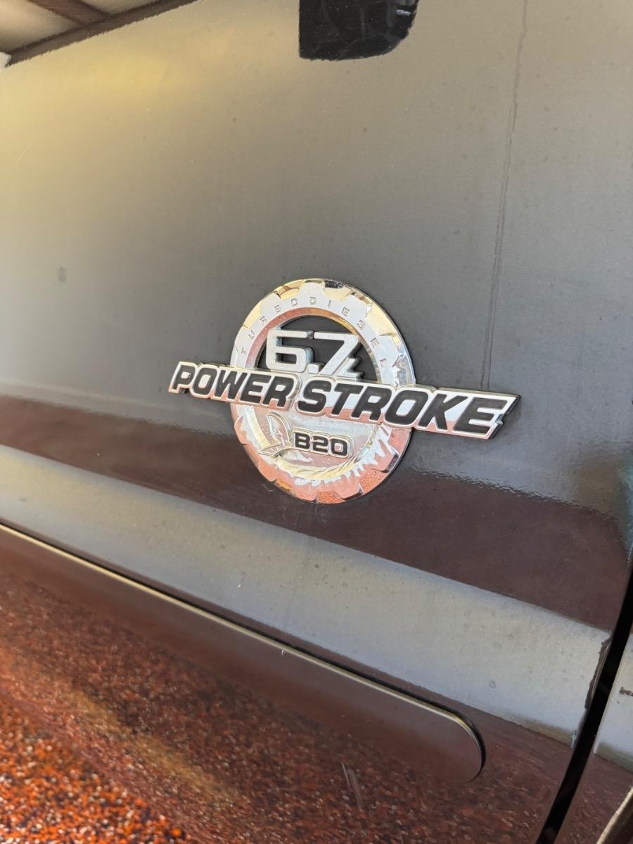 Ford Super Duty F-250 SRW 4WD Crew Cab 156" Platinum 2015