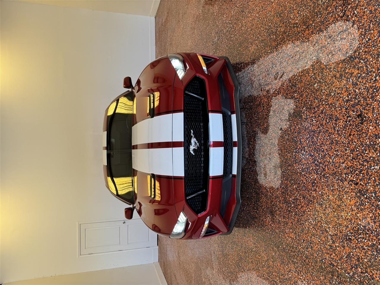 Ford Mustang GT Fastback 2021