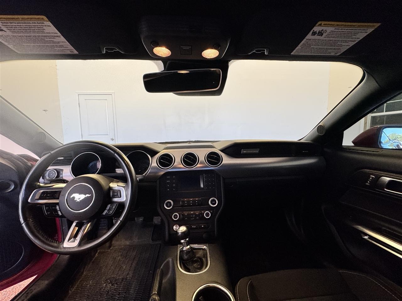 Ford Mustang GT Fastback 2021
