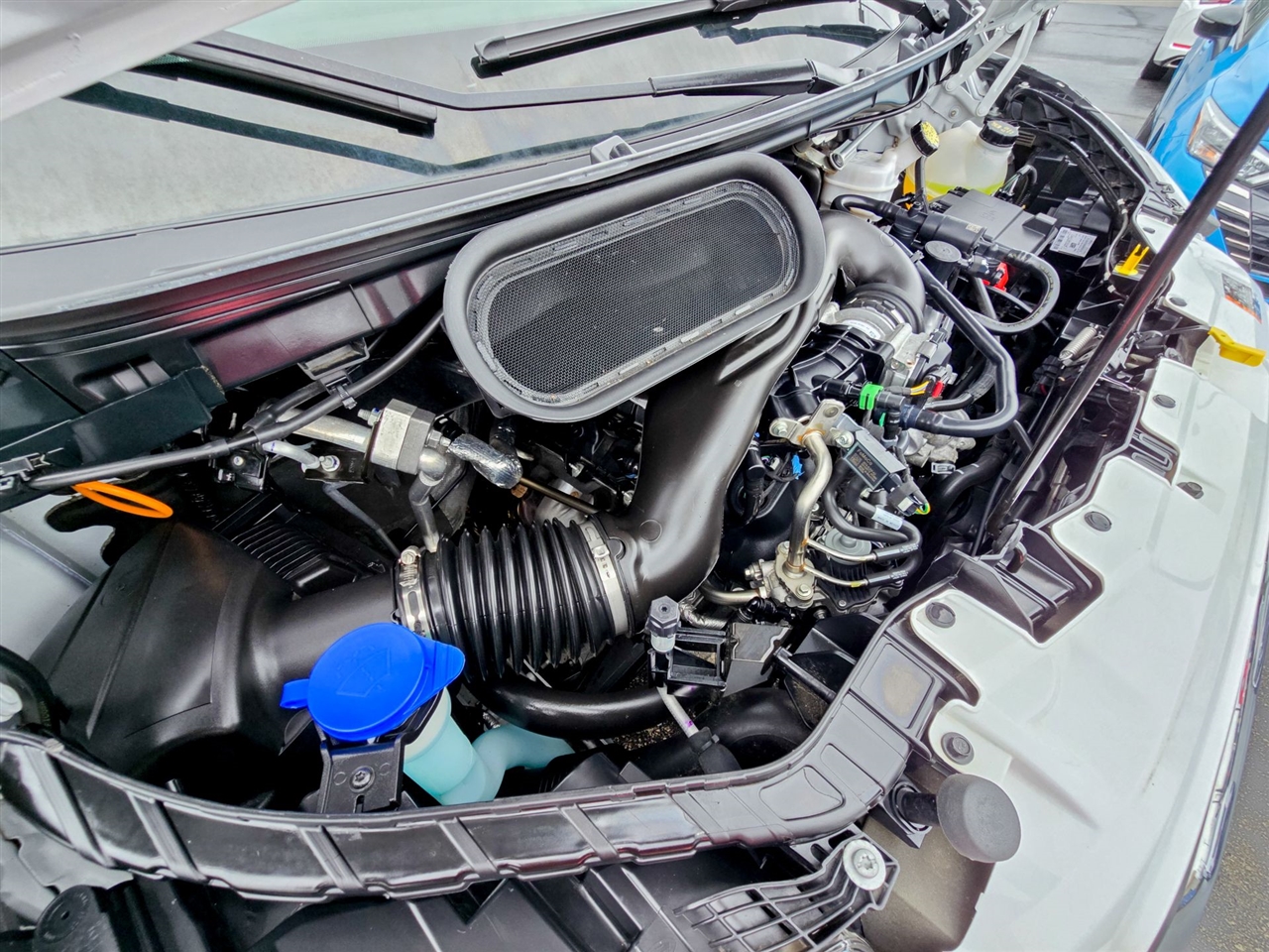 Ford Transit Passenger Wagon  2023