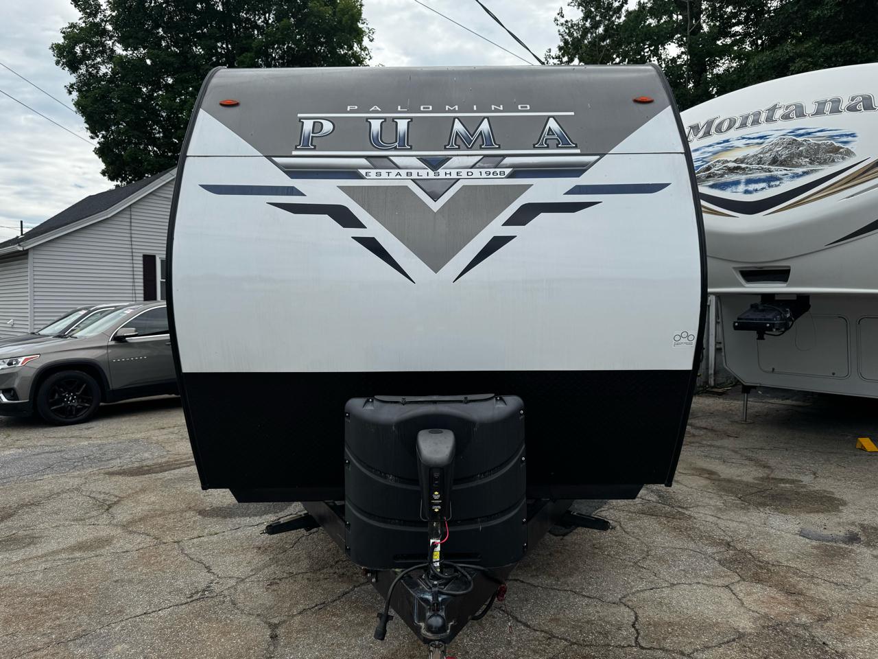 Palomino Puma  2022