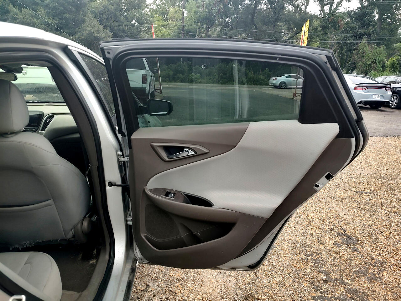 Chevrolet Malibu 1FL 2019 Chevrolet Malibu 1FL 2019