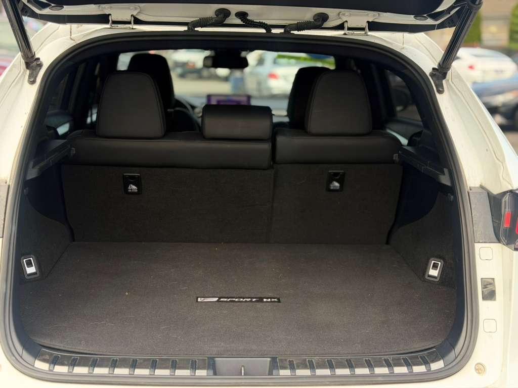 Lexus NX NX 300 AWD 2019