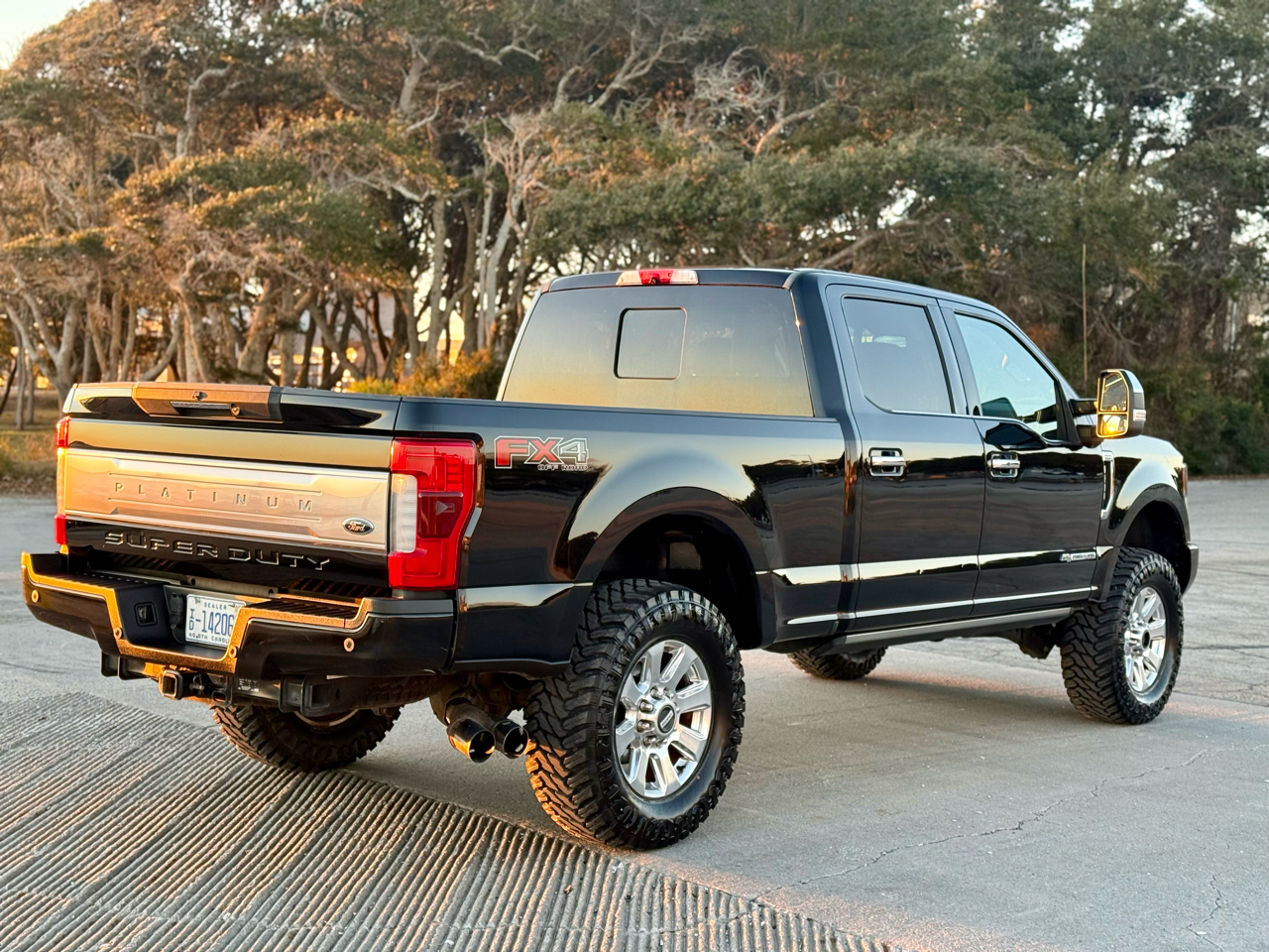 Ford F-250 SD Platinum Crew Cab 4WD 2018