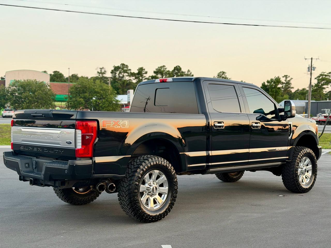 2017 Ford F-250 Super Duty Platinum - Photo 6