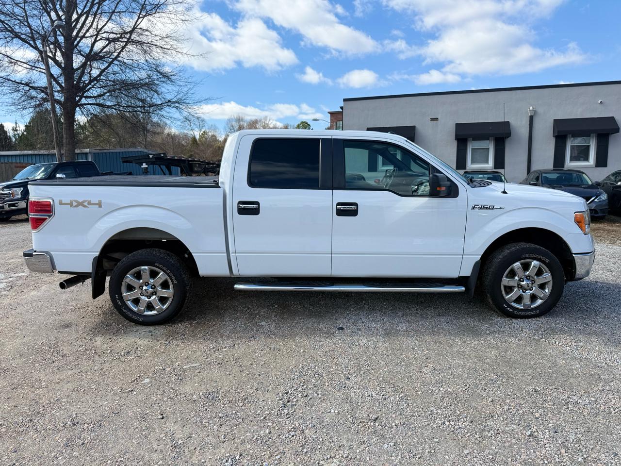 Ford F-150 4WD SuperCrew 145" Platinum 2014
