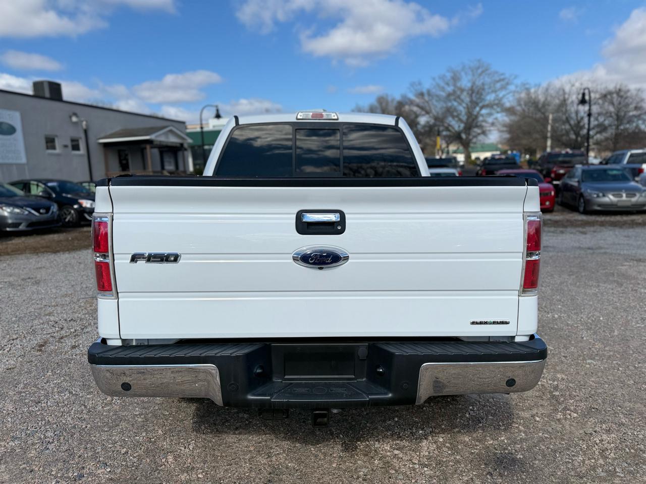 Ford F-150 4WD SuperCrew 145" Platinum 2014