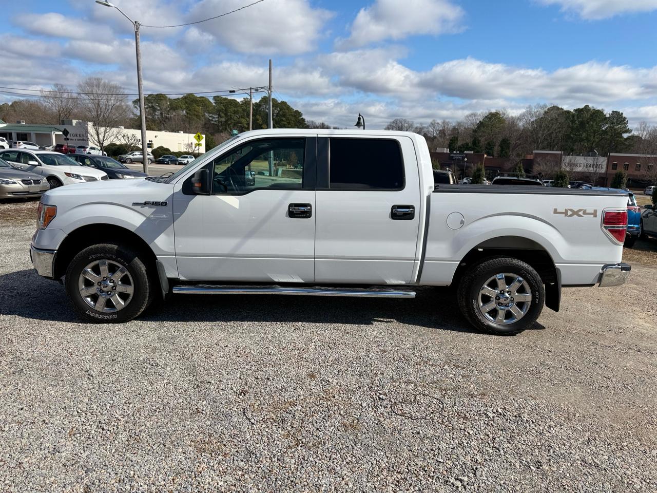Ford F-150 4WD SuperCrew 145" Platinum 2014