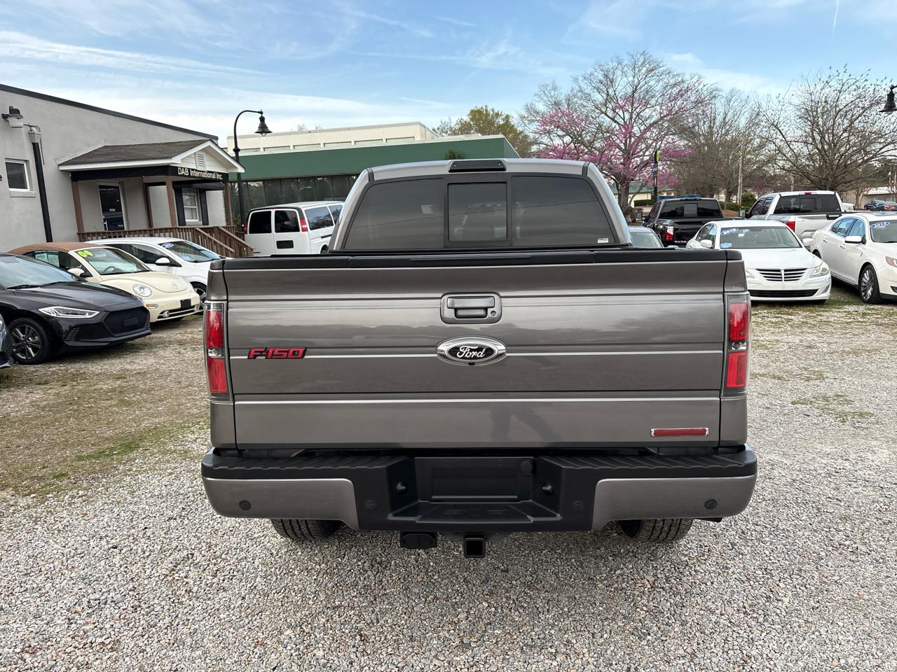 Ford F-150 4WD SuperCrew 145" FX4 2014