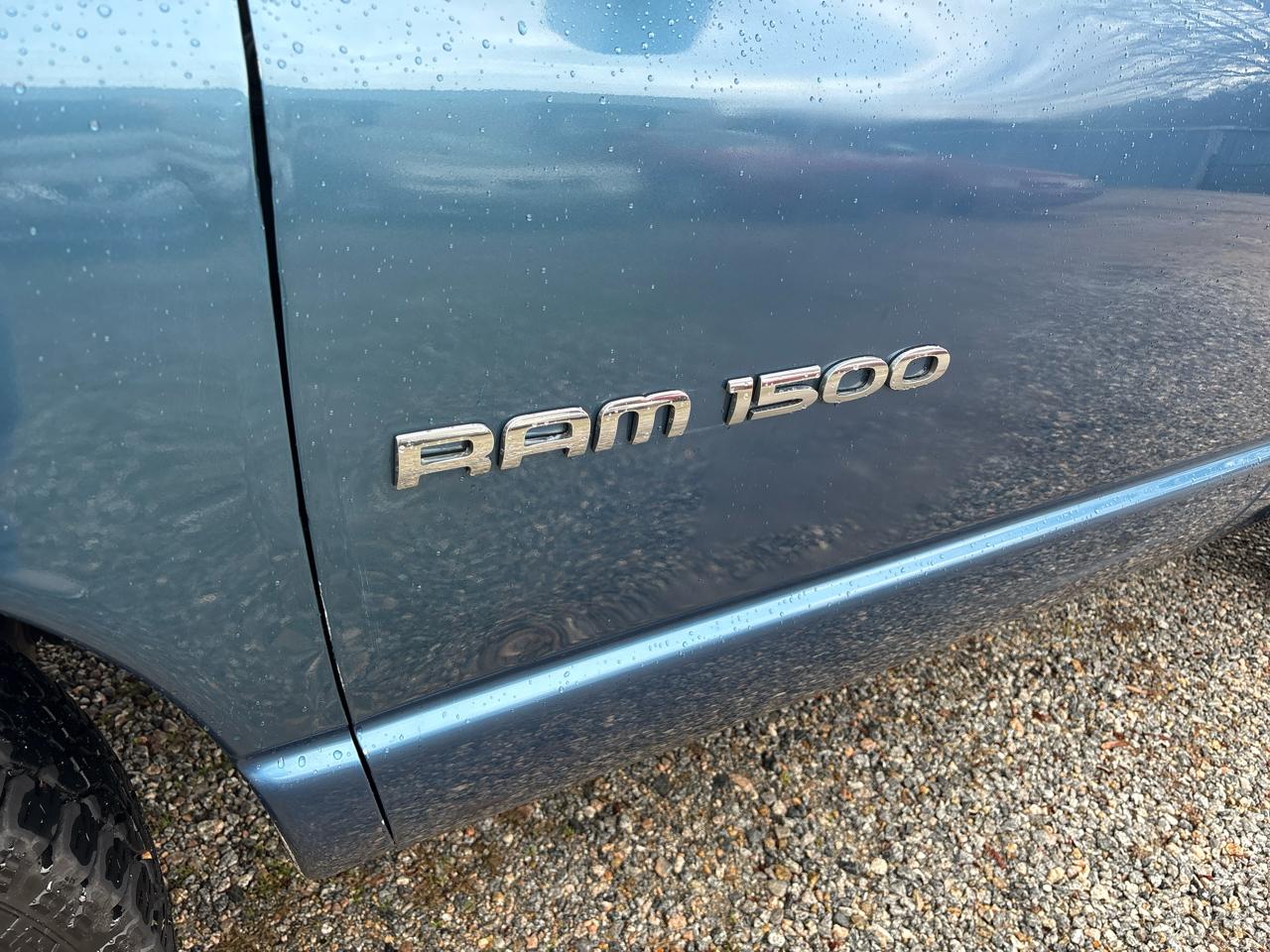 Dodge Ram 1500 2dr Reg Cab 120.5" WB ST 2003