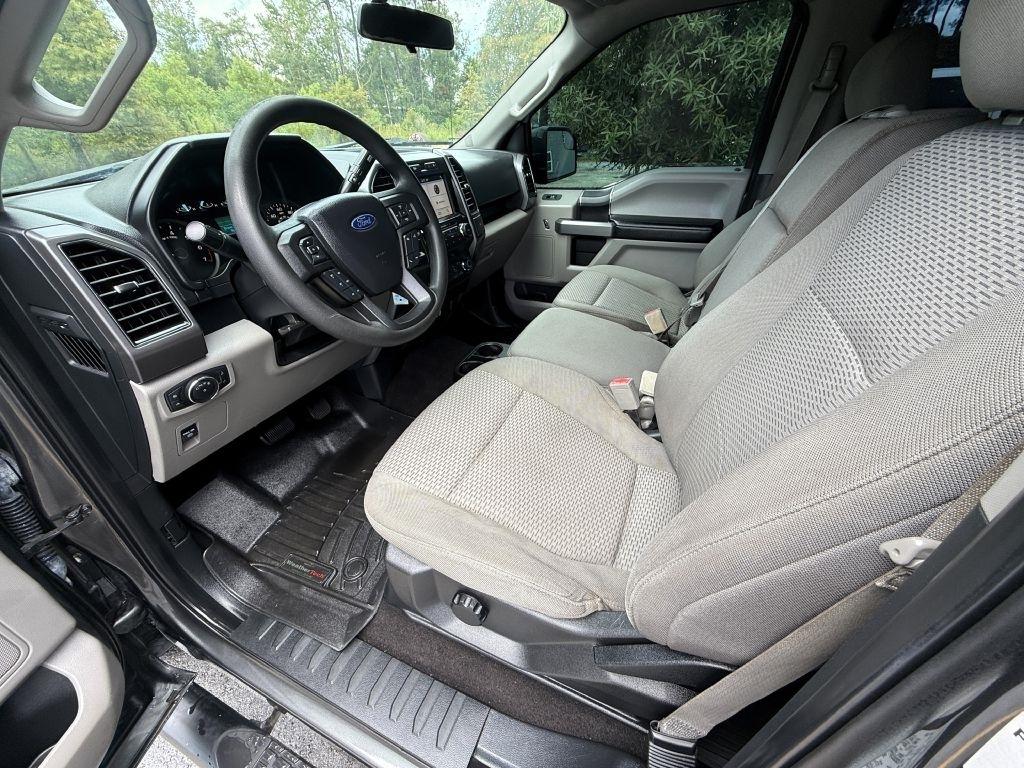 Ford F-150 XLT 2WD SuperCrew 5.5' Box 2019