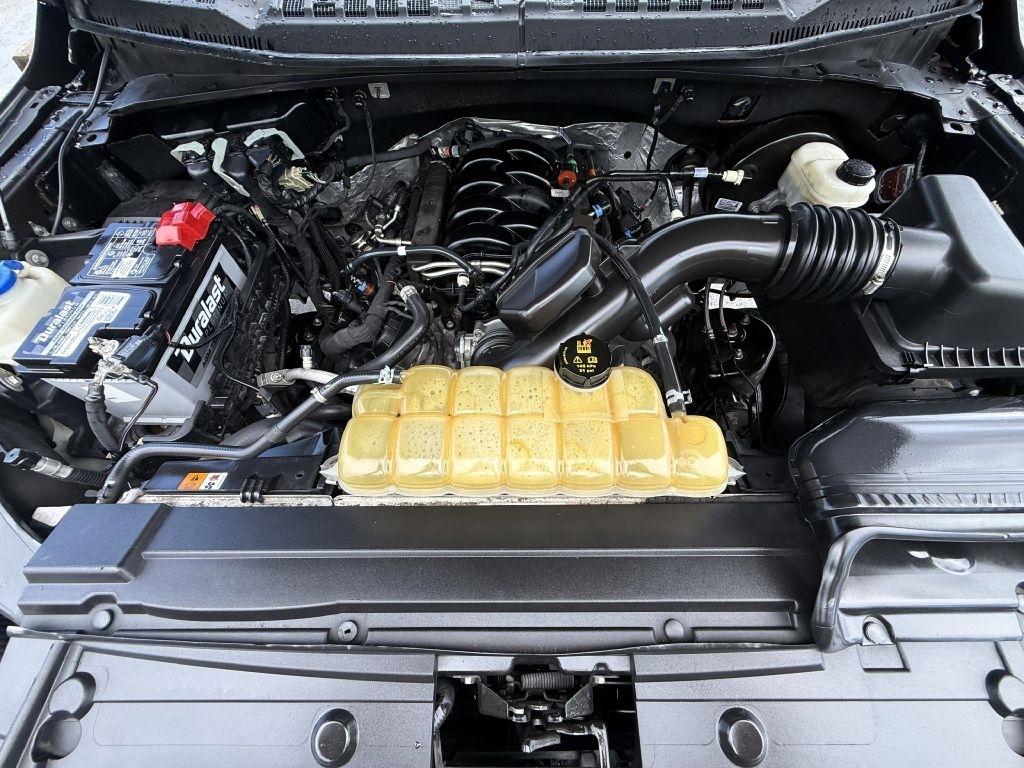 Ford F-150 XLT 2WD SuperCrew 5.5' Box 2019
