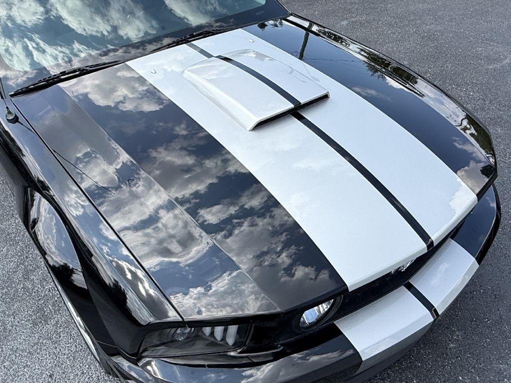 Ford Mustang GT Deluxe Coupe 2008