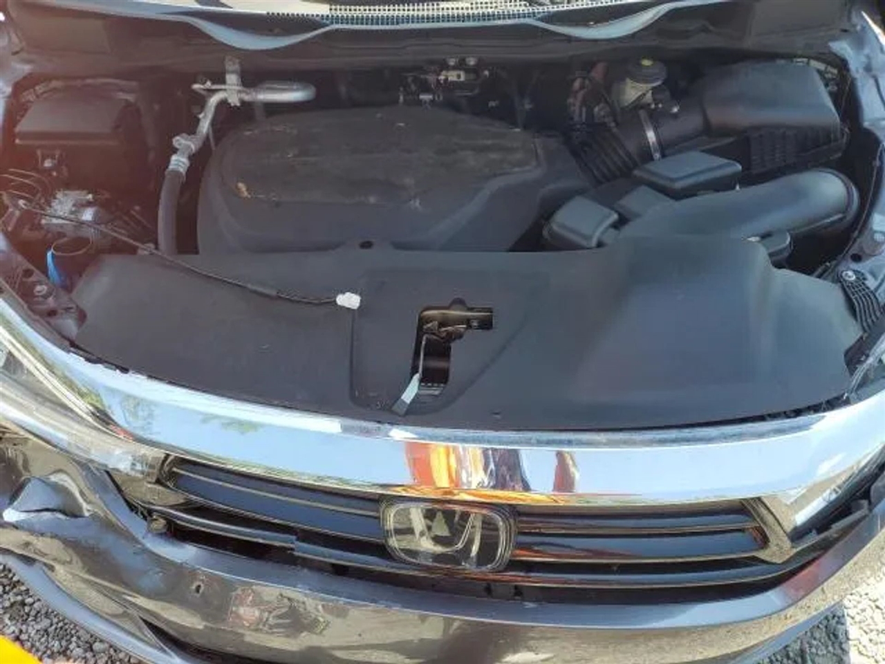 Honda Odyssey  2021