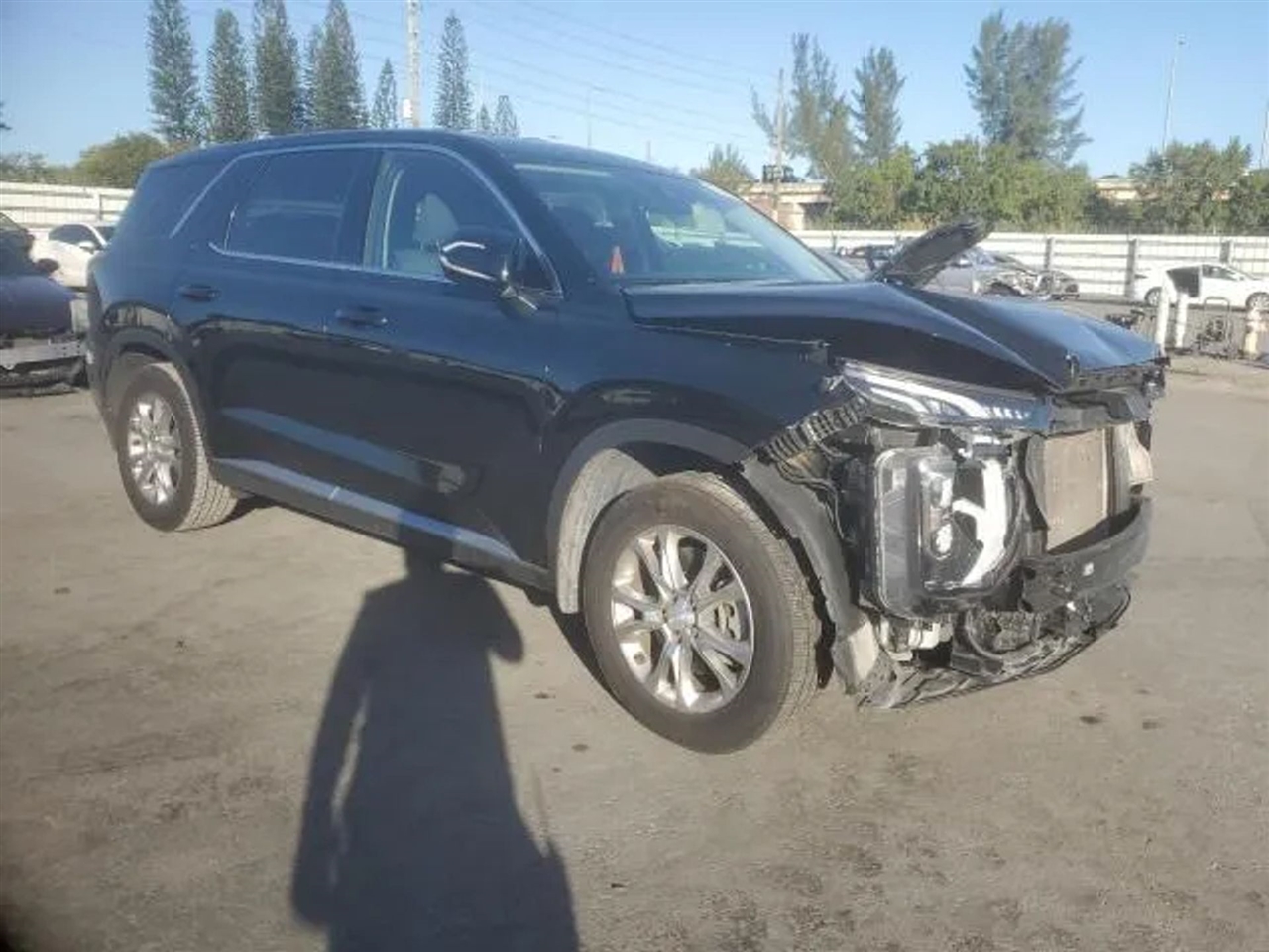 Hyundai Palisade  2022