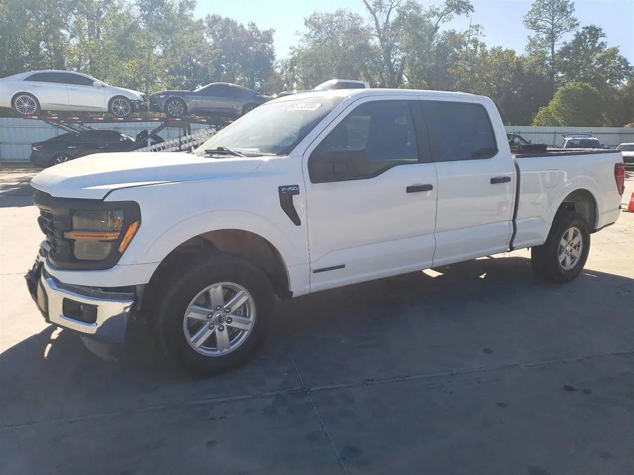 2024 Ford F-150 XL Hybrid Pickup 4D 6 1/2 ft