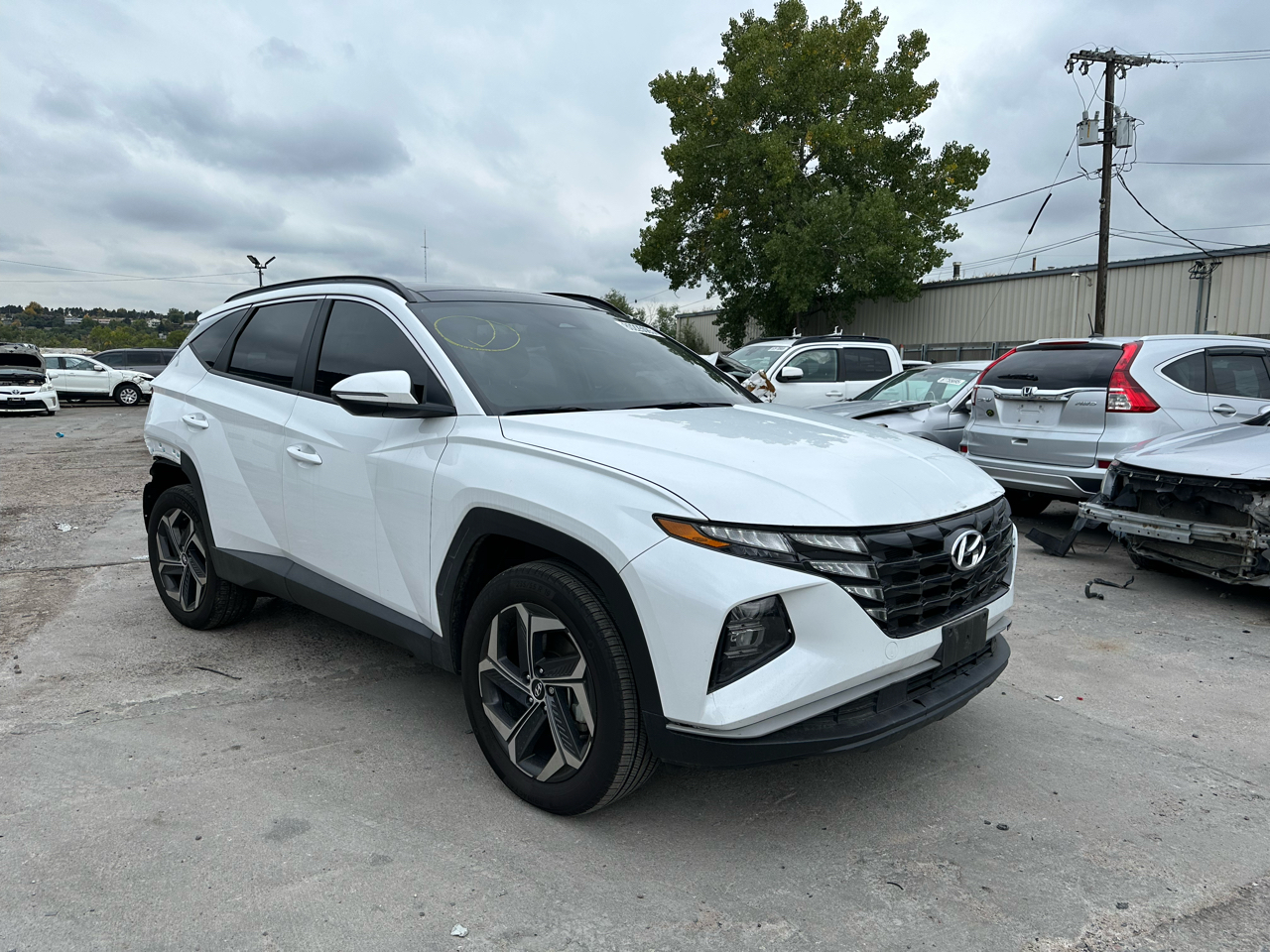 2024 Hyundai Tucson Hybrid SEL Convenience AWD