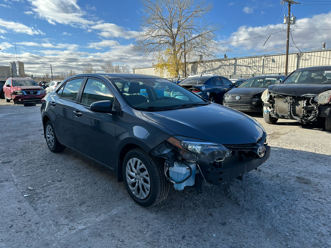 2019 Toyota Corolla XLE CVT (Natl)