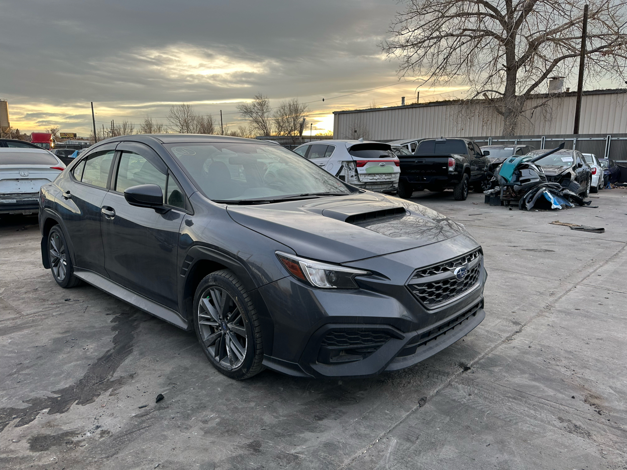 2024 Subaru WRX Manual