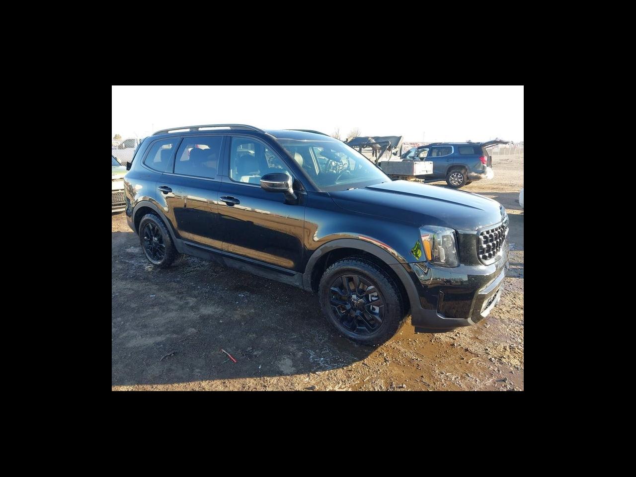 2025 Kia Telluride EX X-Pro AWD