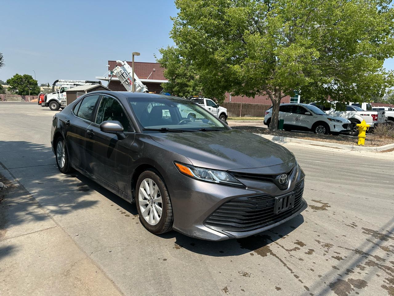 2019 Toyota Camry XLE Auto (Natl)