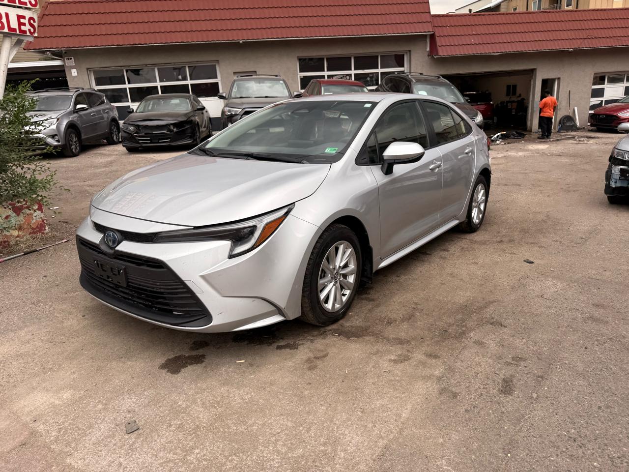 2024 Toyota Corolla Hybrid Nightshade Edition FWD (Natl)