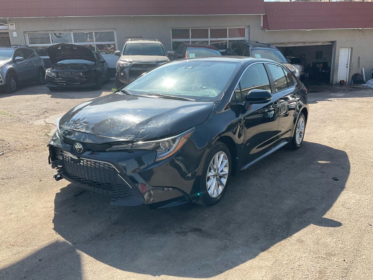 2020 Toyota Corolla XLE CVT (Natl)