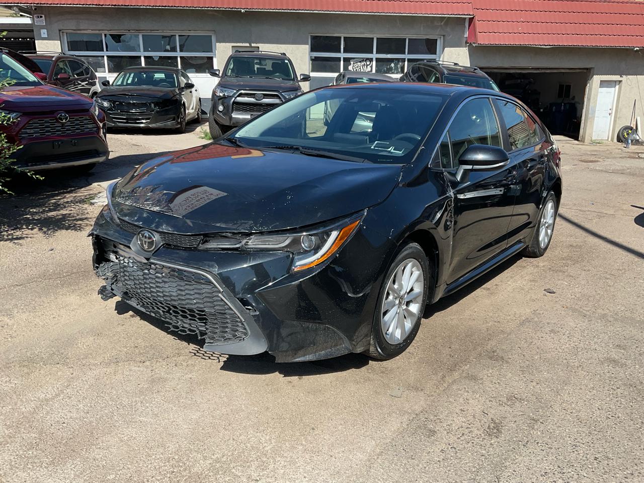 2020 Toyota Corolla XLE CVT (Natl)