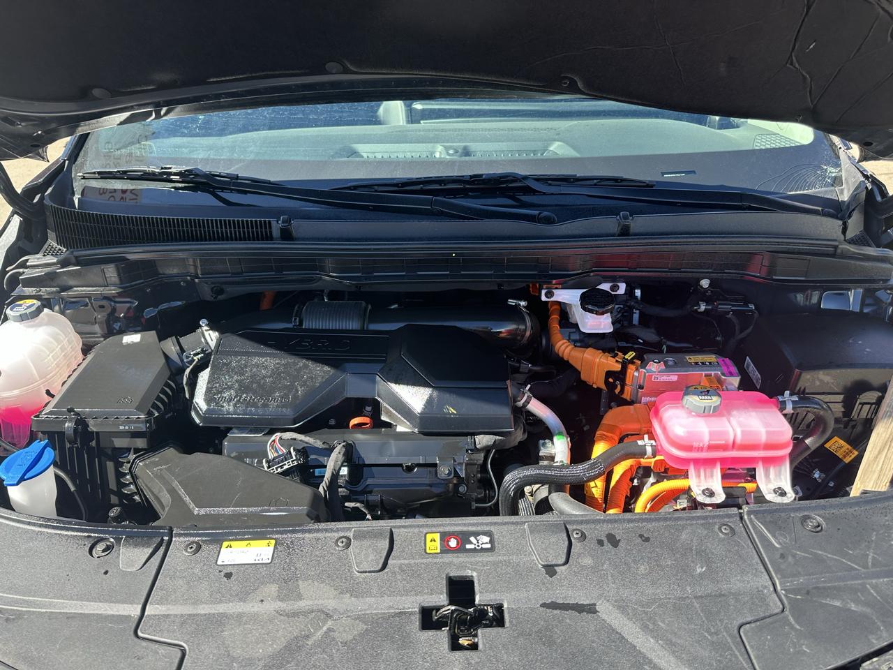 Kia Carnival photo 19