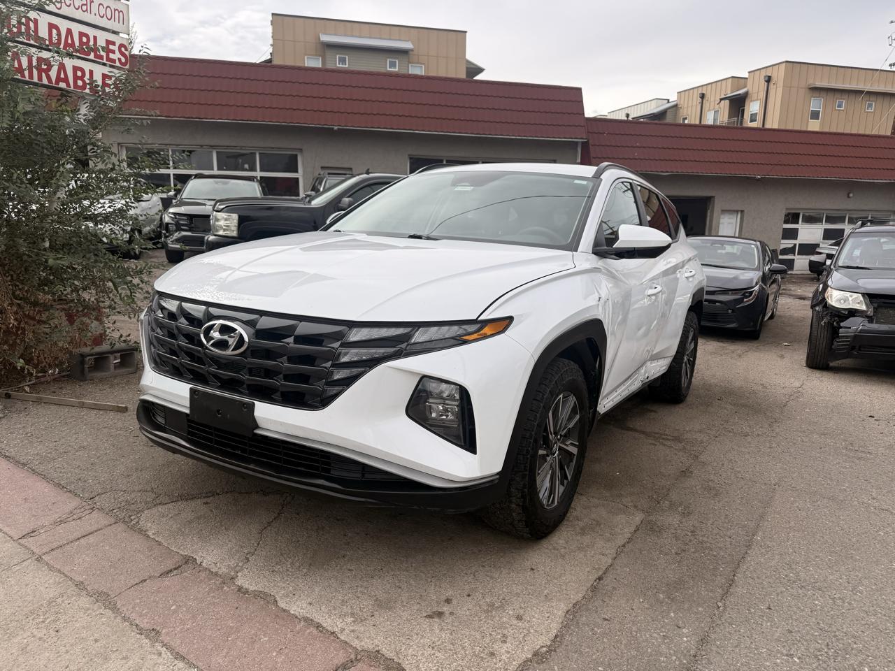 2024 Hyundai Tucson Hybrid Blue AWD