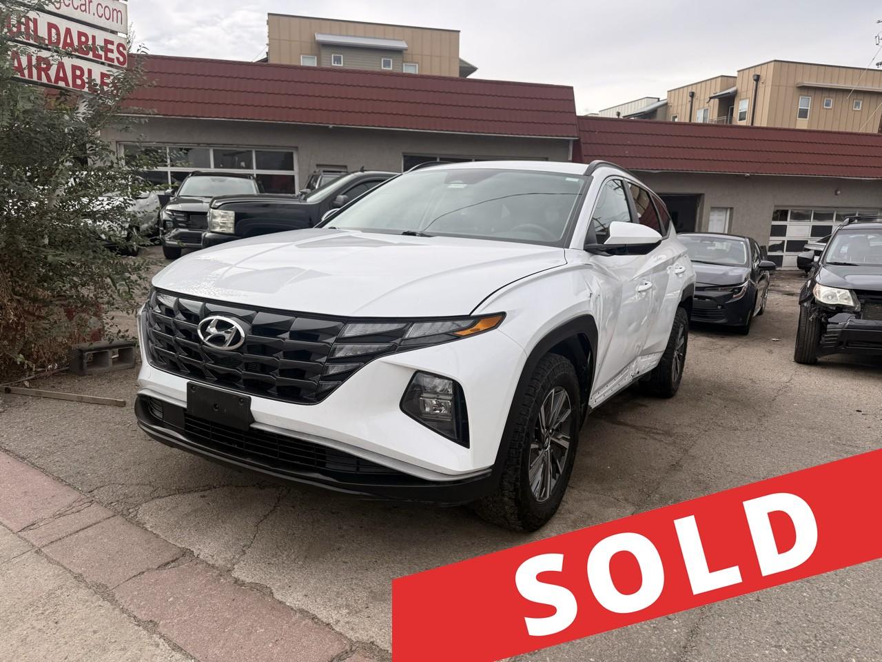2024 Hyundai Tucson Hybrid Blue AWD