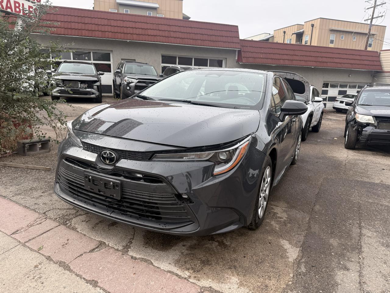 2023 Toyota Corolla LE CVT (Natl)