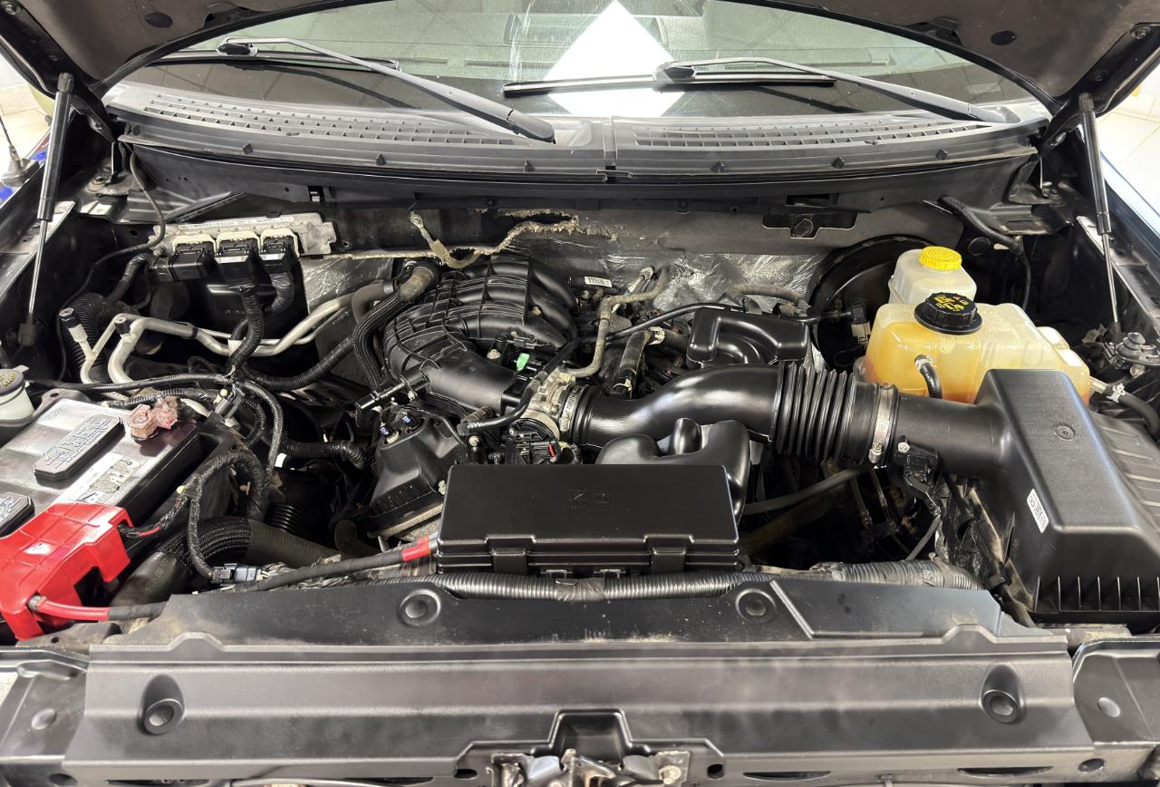 Ford F-150 2WD SuperCab 145" XL 2014