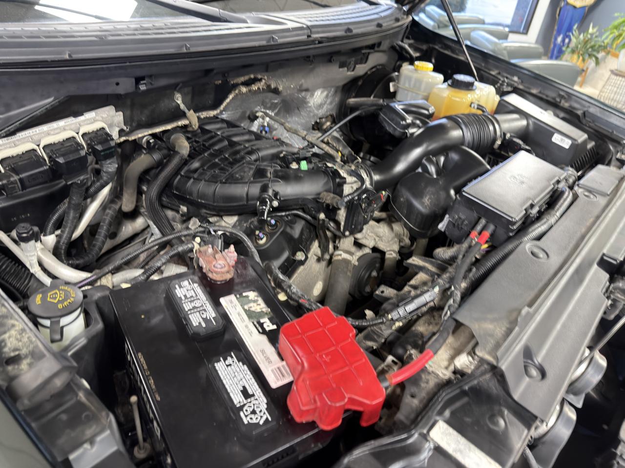 Ford F-150 2WD SuperCab 145" XL 2014