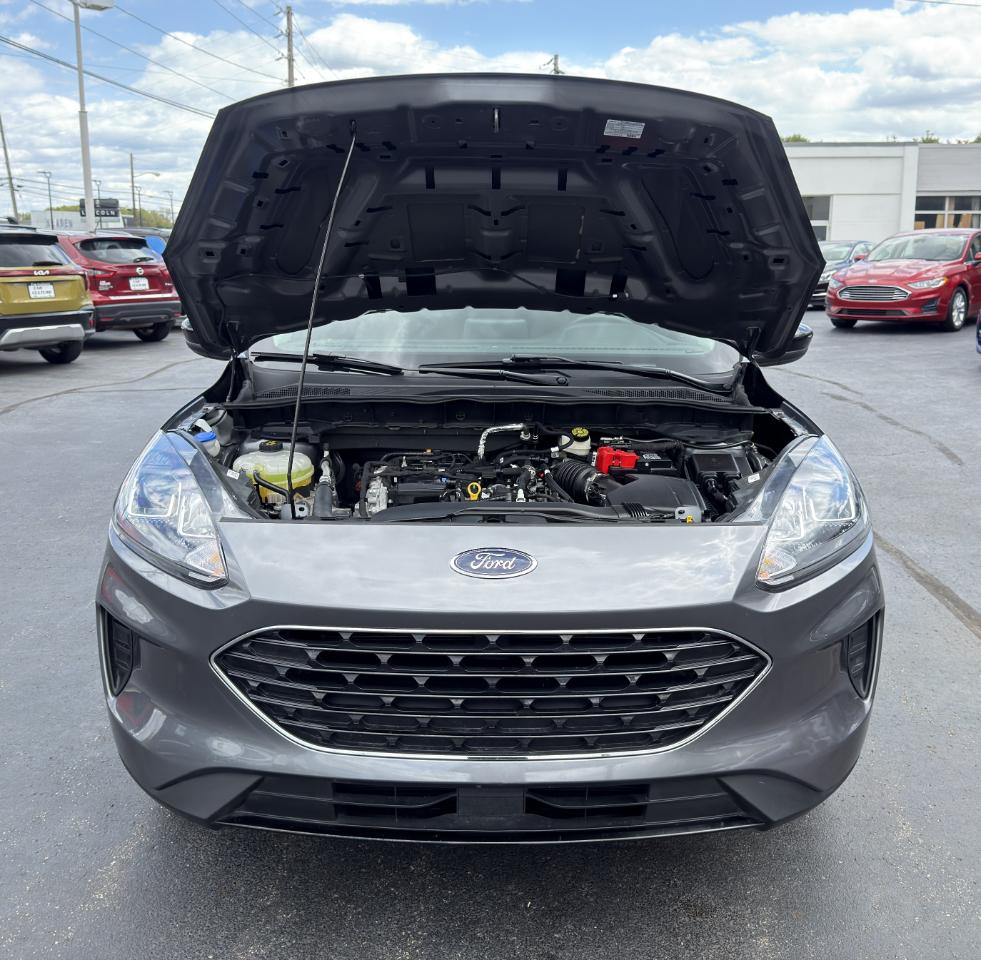Ford Escape SE 4D SUV 4WD 2022