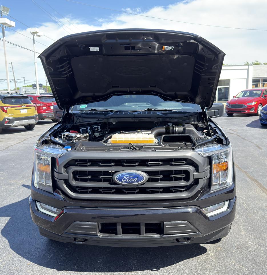 Ford F-150 XLT SuperCrew 4WD 2022