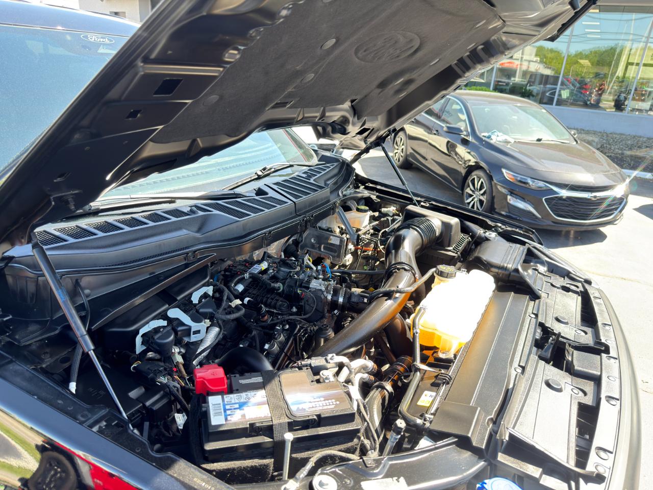 Ford F-150 XLT SuperCrew 4WD 2022
