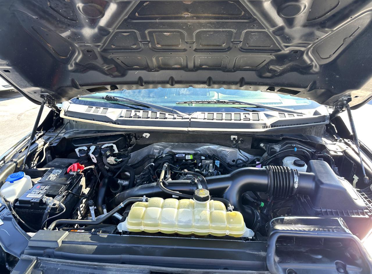 Ford F-150 4WD SuperCrew 145" STX 2020