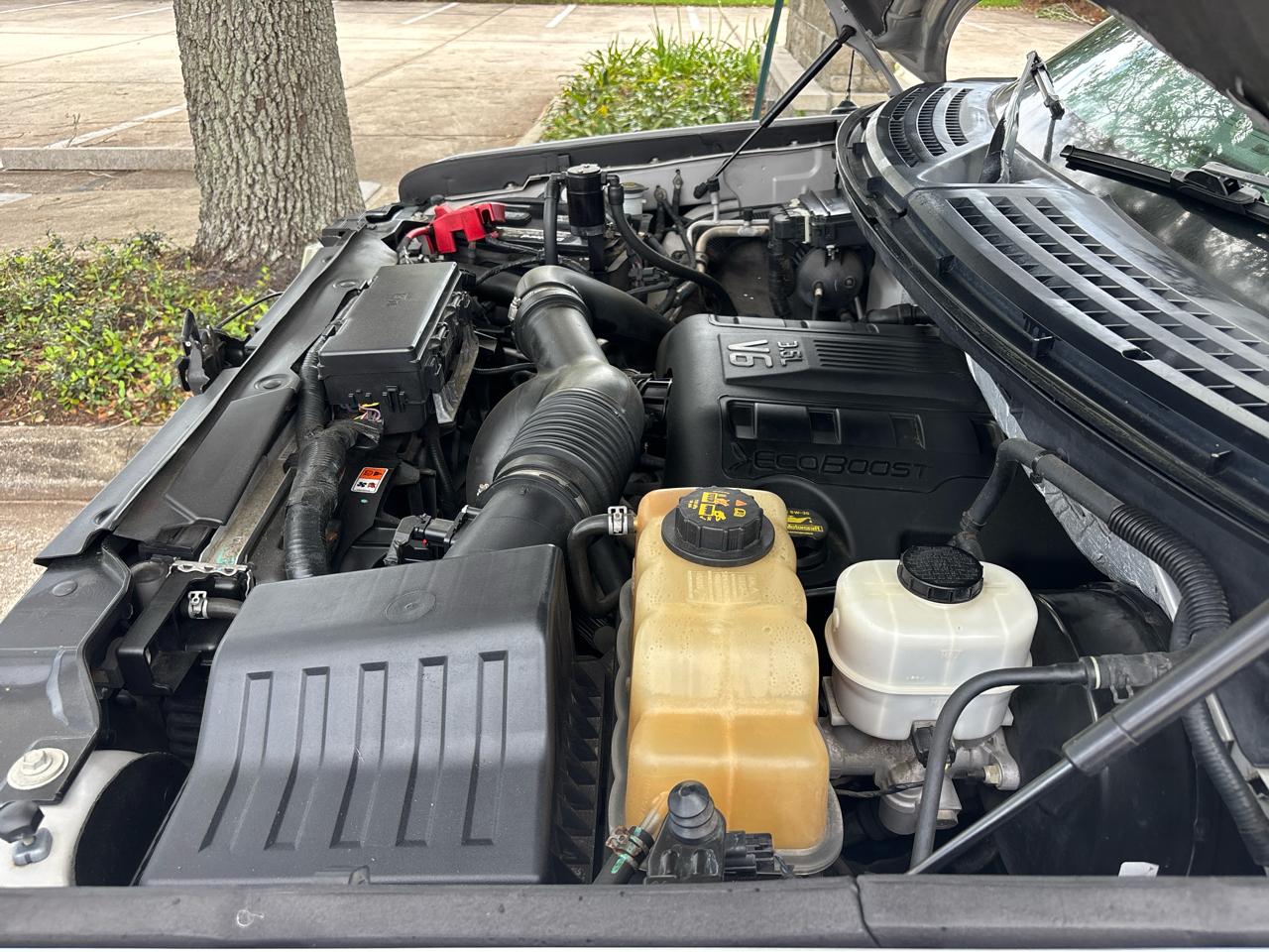 Ford F-150 SuperCrew 2WD 2011