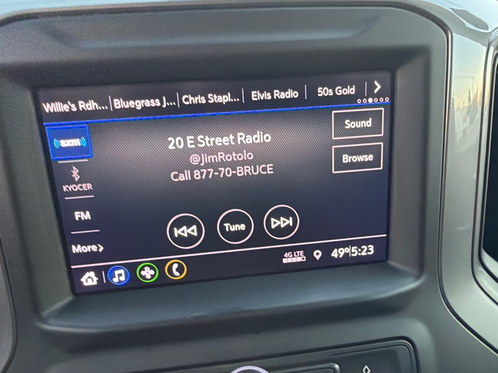 Chevrolet Silverado 1500 4WD Crew Cab 147" Custom 2019