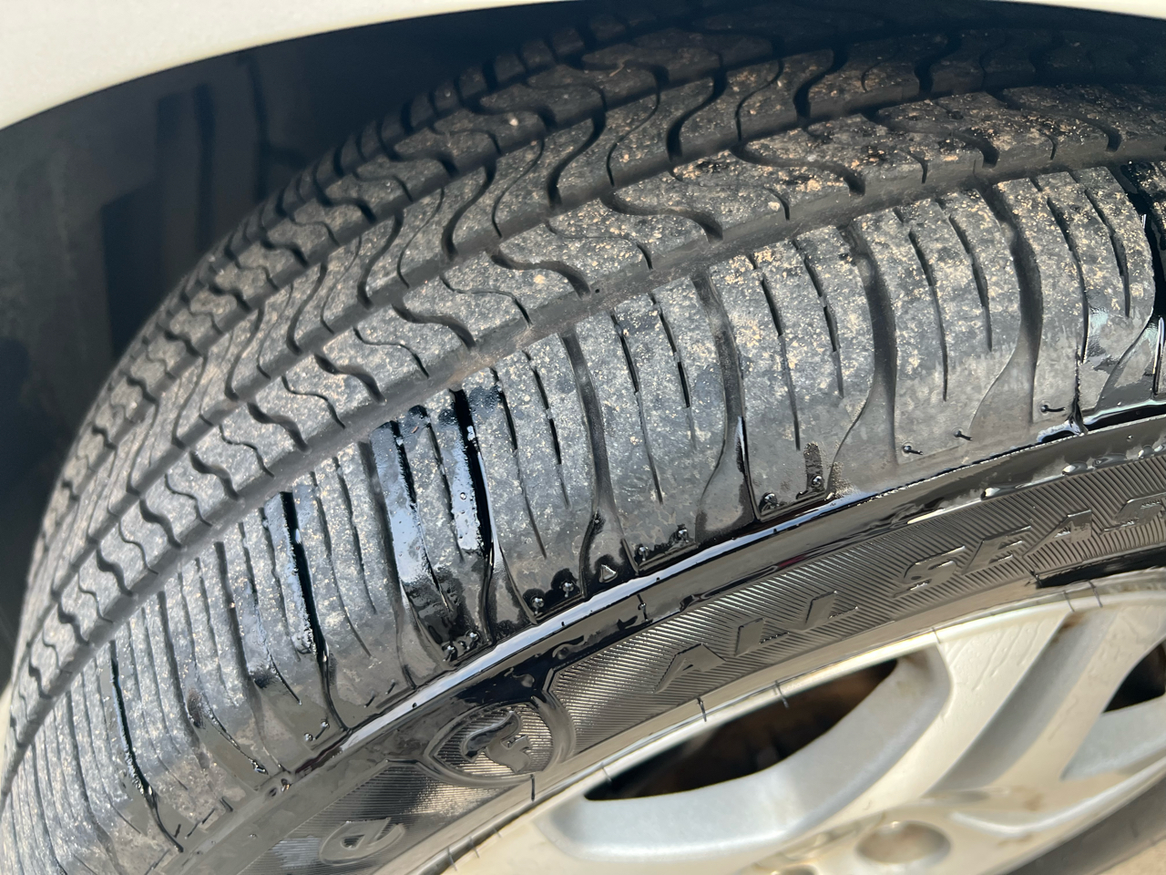 Honda Odyssey EX-L w/ DVD 2006