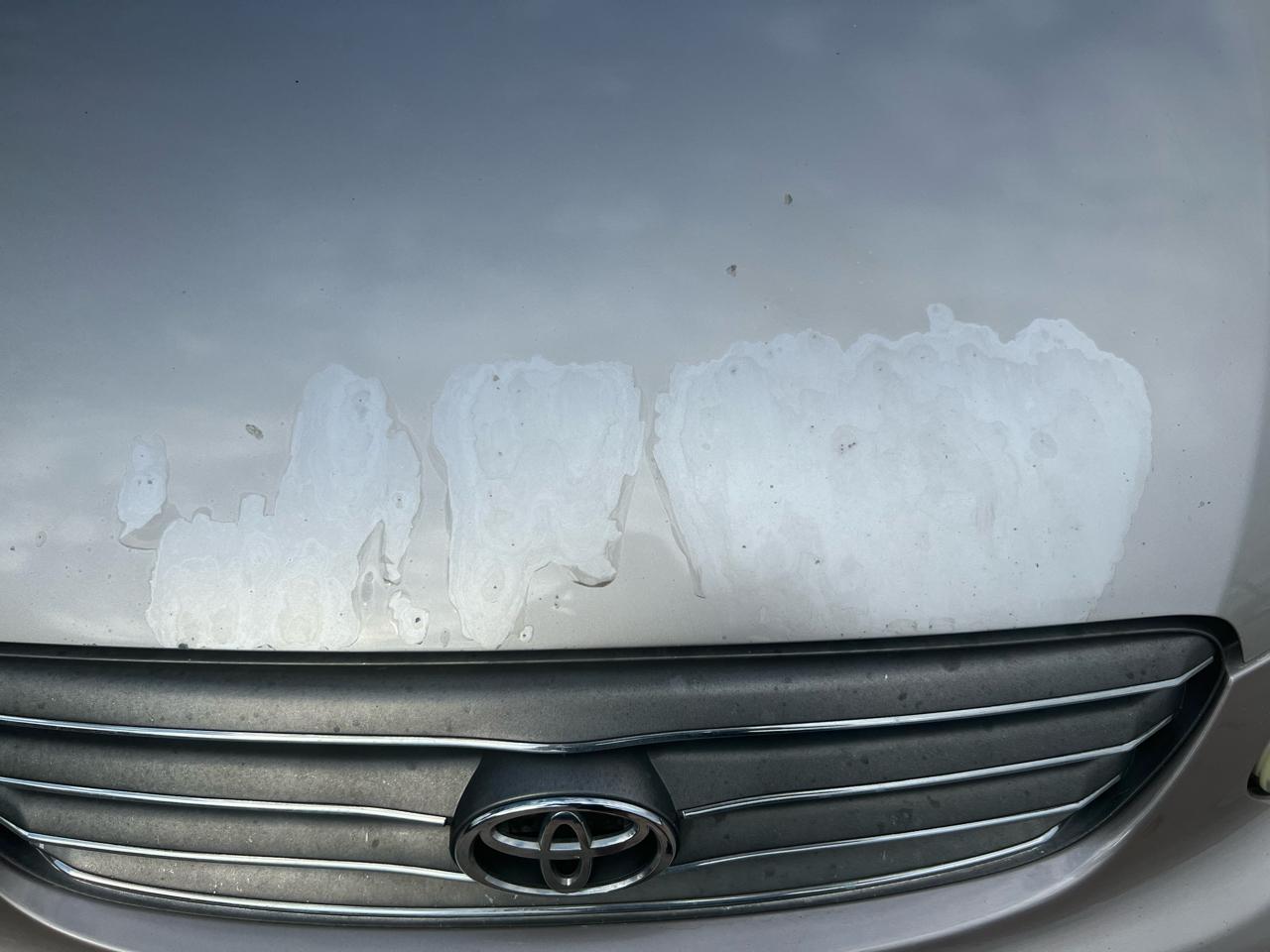 Toyota Corolla LE 2003