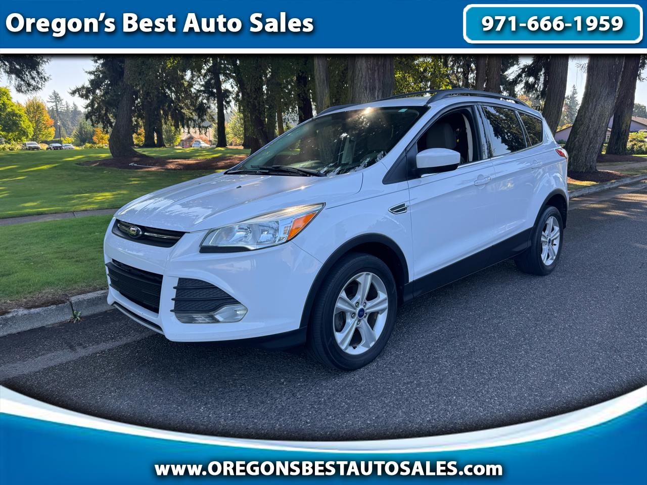 2013 Ford Escape SE FWD