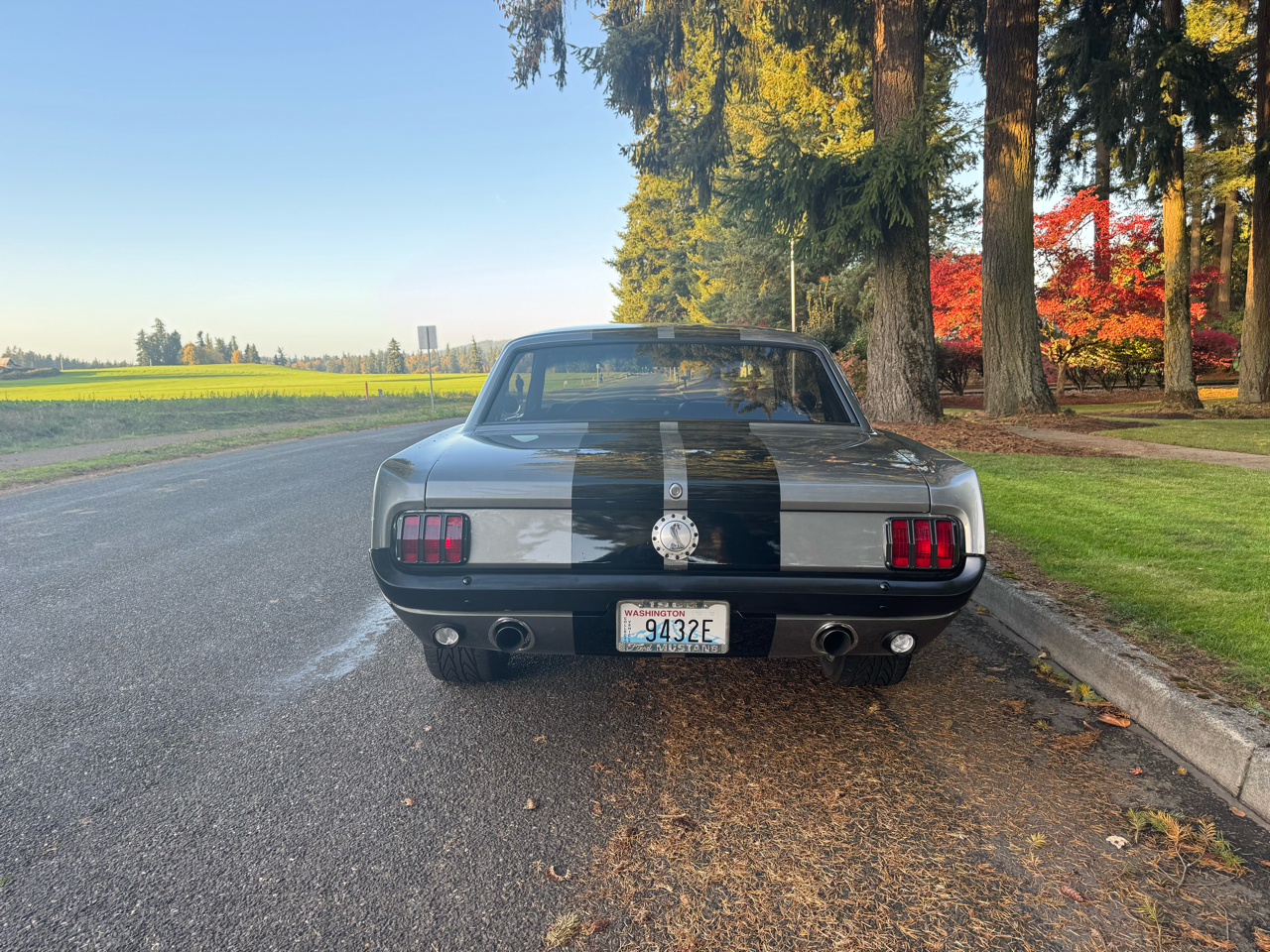 Ford Mustang 2dr Coupe 1966