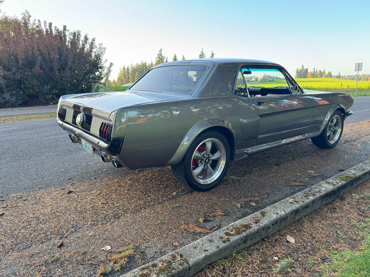 Ford Mustang 2dr Coupe 1966