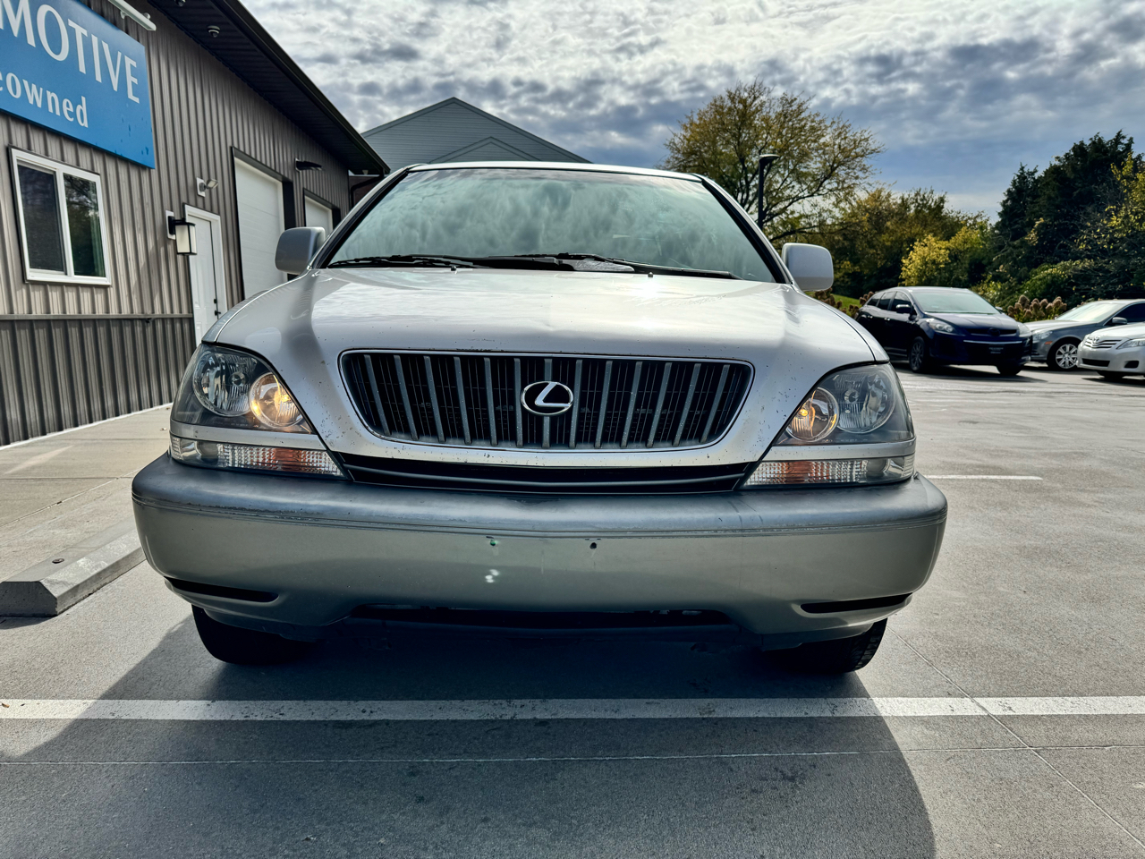 Lexus RX 300 Luxury SUV 4dr SUV 4WD 1999 Lexus RX 300 Luxury SUV 4dr SUV 4WD 1999