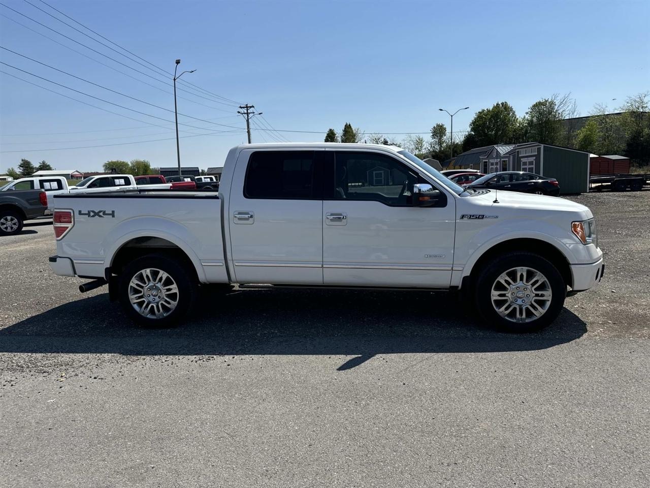 Ford F-150 4WD SuperCrew 145" Platinum 2012